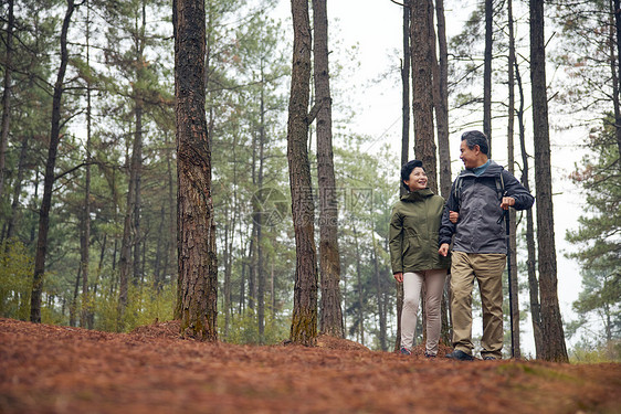 老年夫妇森林徒步图片