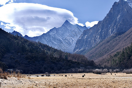 四川川西甘孜梅里雪山风景旅游圣地图片
