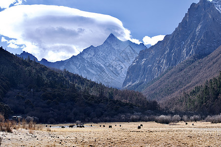 四川川西甘孜梅里雪山风景旅游圣地背景图片