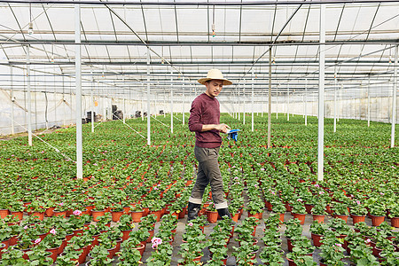 植物养殖基地里巡视的花农图片