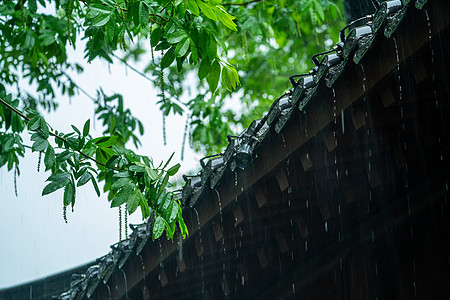 露珠背景春雨下的古建筑背景