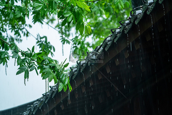 春雨下的古建筑图片