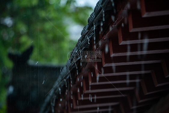 春雨下的古建筑图片