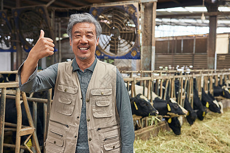 动物点赞素材奶牛棚里的养殖户点赞形象背景