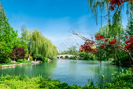 济南大明湖内春日景色背景图片