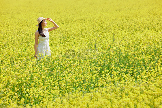 美女站在油菜花田享受阳光图片