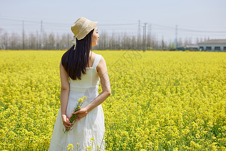 站在油菜花田里的美女背影图片