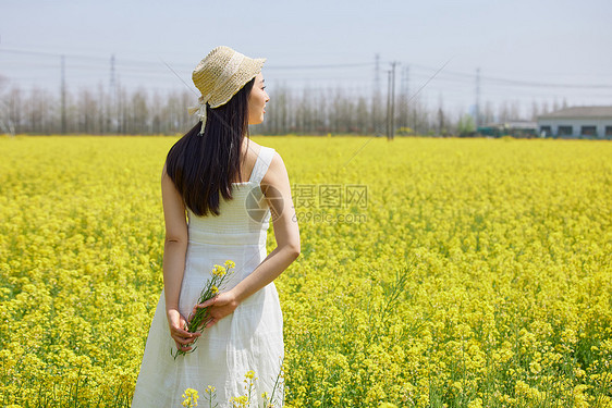 站在油菜花田里的美女背影图片