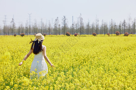 油菜花田里奔跑的女性背影高清图片