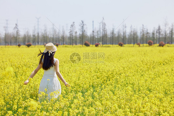 油菜花田里奔跑的女性背影图片