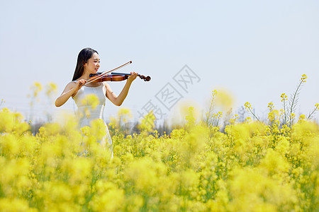 插画少女站在油菜花田弹奏小提琴的女性背景