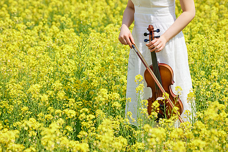 油菜花海唯美女性小提琴特写图片