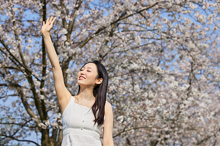 年轻女性春季赏樱花背景图片