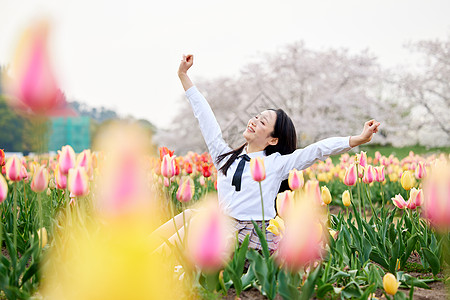 制服少女坐在郁金香花丛中背景