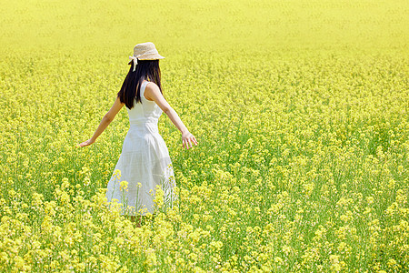 梦幻花海油菜花田中行走的少女背影背景