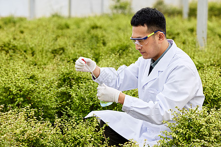 植物大棚研究员采集样本图片