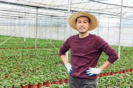 大棚里植物盆栽花农形象图片