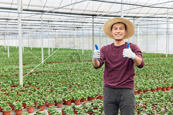 城市绿化花农形象图片