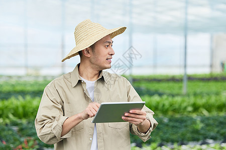 蔬菜大棚手拿平板电脑的男性图片