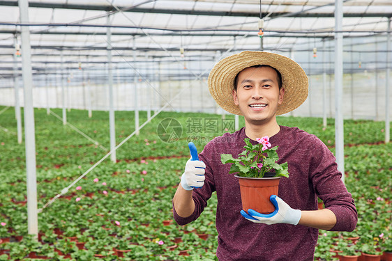 城市绿化花农点赞形象图片