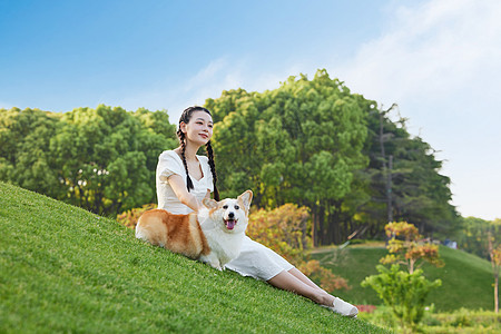 草地上的宠物狗和少女图片