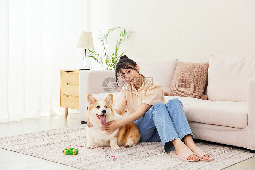 宠物犬和女主人玩耍形象图片