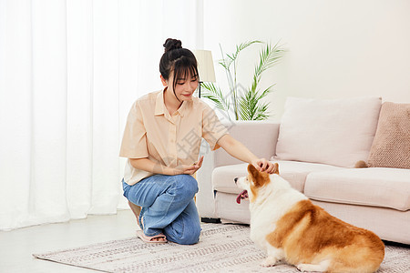 居家女子跟柯基犬互动喂食图片