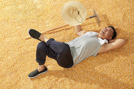 农民伯伯躺在玉米上开心形象图片