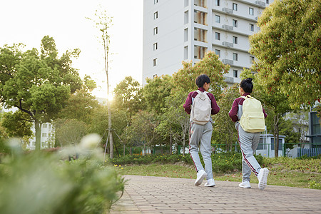 小女孩读书小学生形象放学回家背影背景