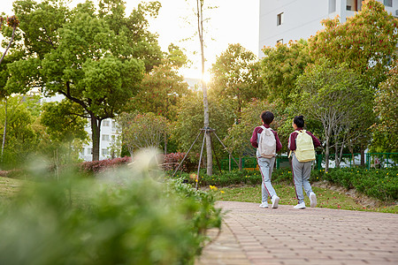 小男孩上学路上校园里小学生放学背影背景