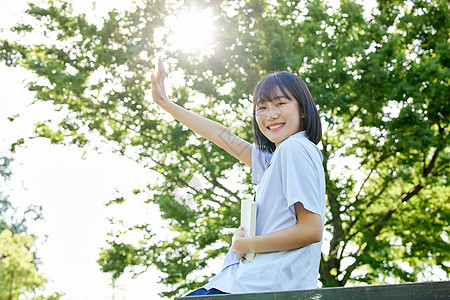 活力学生阳光下看书的女学生背景