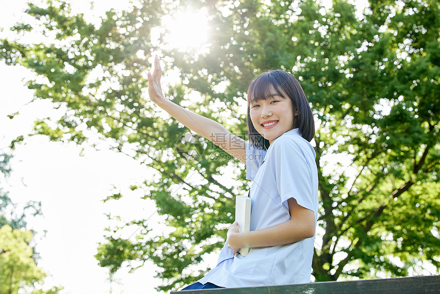 阳光下看书的女学生图片