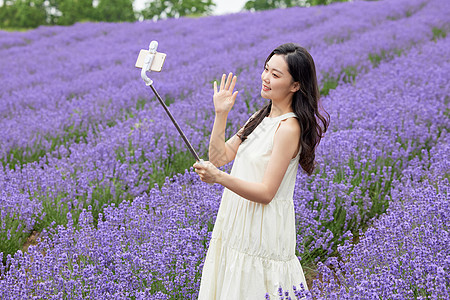 薰衣草花田里拿着自拍杆的女性图片