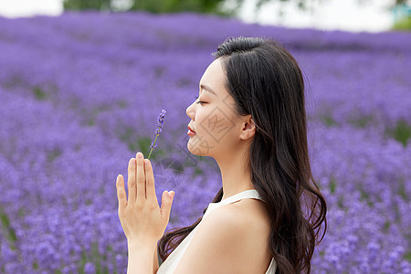 薰衣草花田里祈祷的女性图片