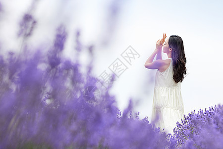 柔美女性走在薰衣草花田唯美背影图片