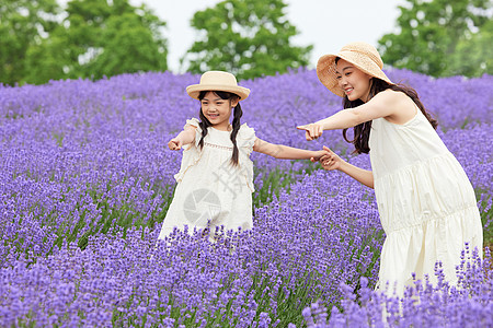 母女在薰衣草花田看花高清图片