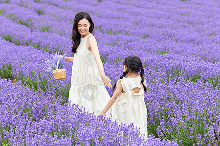 母女在薰衣草花田游玩背景图片