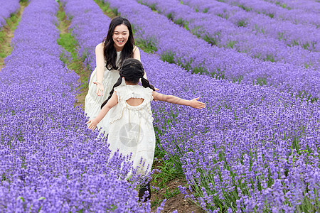 薰衣草花海里的小女孩跑向母亲图片