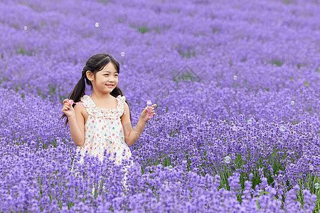 薰衣草花田玩耍的小女孩图片