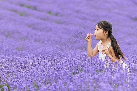 薰衣草花田玩耍的小女孩图片