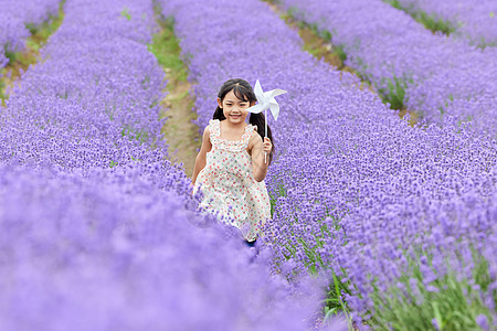 薰衣草花田里手拿风车奔跑的女孩图片