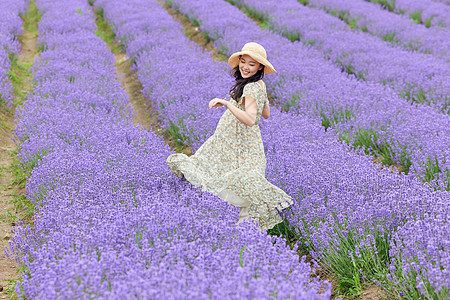 薰衣草花田舞蹈旋转的女性图片