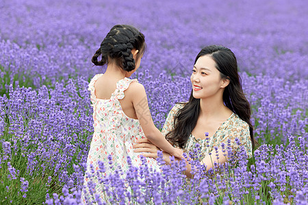 母女在薰衣草花田游玩高清图片