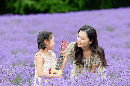 清爽风景小女孩在薰衣草花田弹尤克里里背景