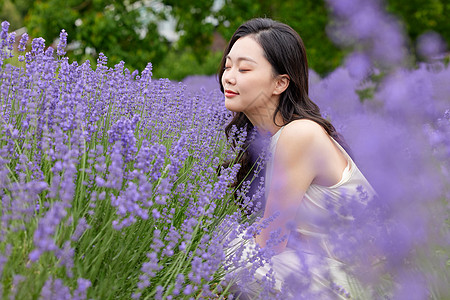 长发美女闻薰衣草花香图片