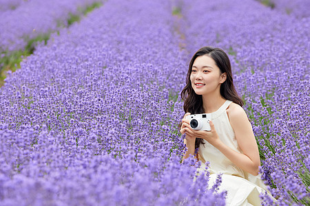 手拿相机在薰衣草从中的女性图片