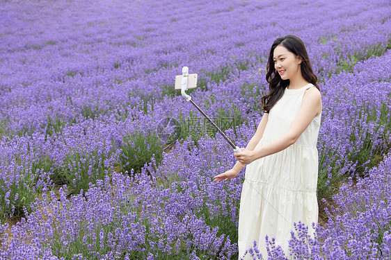 在薰衣草花园直播的女性图片