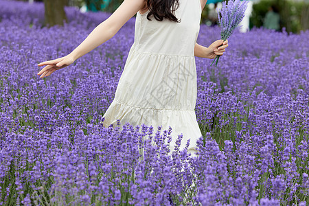 清凉夏日美女女性在薰衣草花田奔跑背景