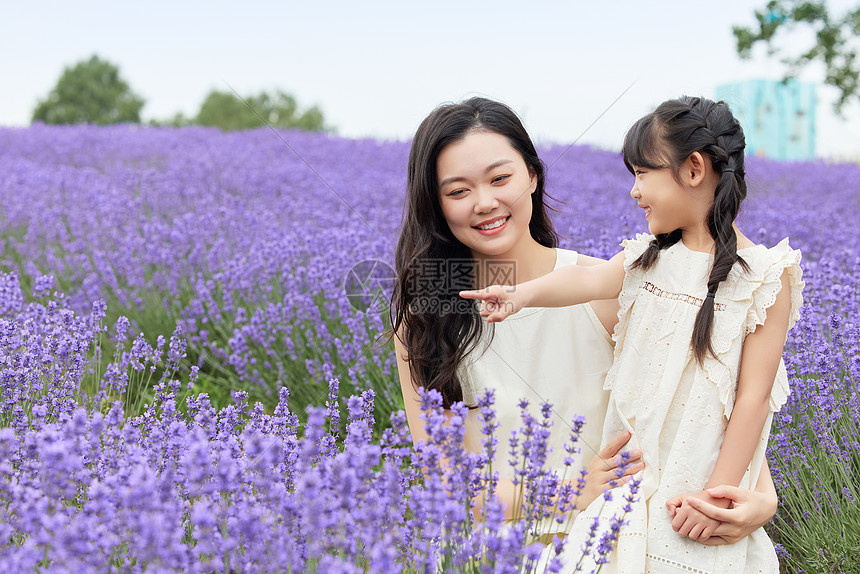 薰衣草花田的母女图片