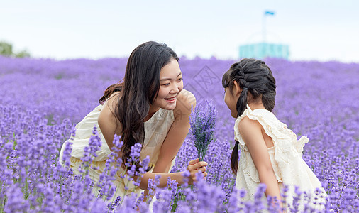 母女一起观察薰衣草图片